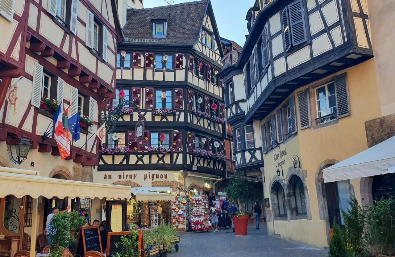 Апартаменты Le Bienvenue A Colmar - Parking Prive Inclus, Centre A Deux Pas Экстерьер фото